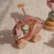 Set Regalo in Legno Fairy Garden 12+