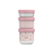 Snack Box - Set da 3 pz - Fairy Garden