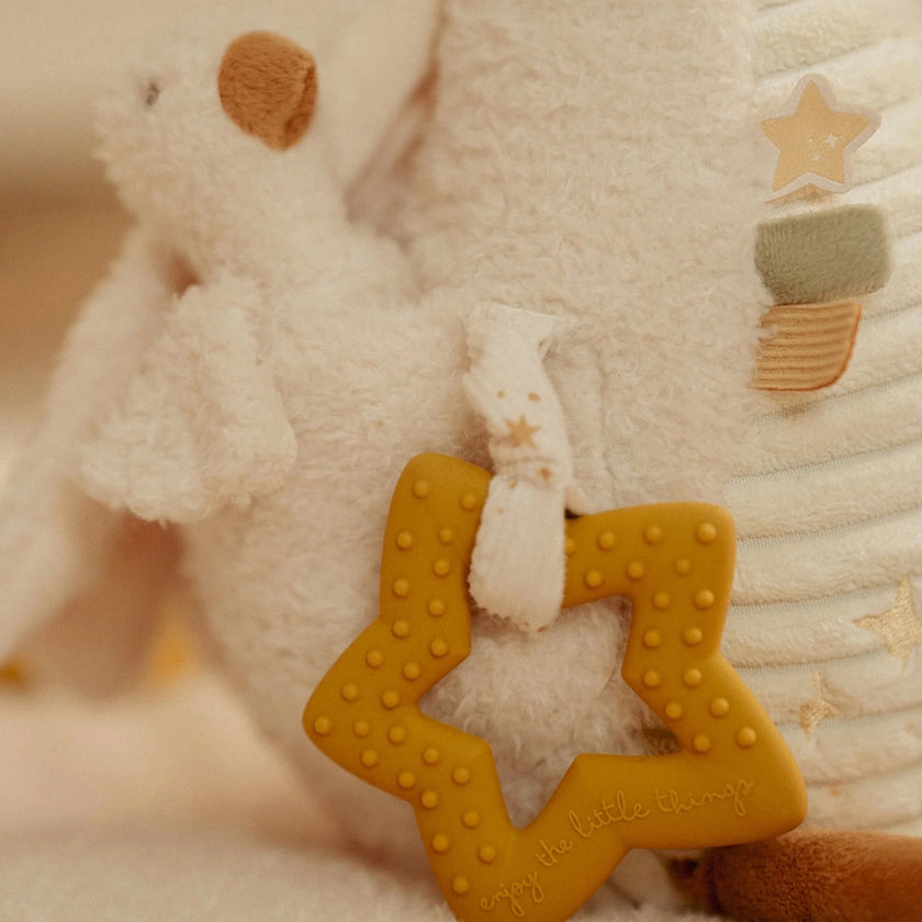 Peluche Oca Multi-Attività