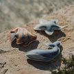 Giocattoli subacquei - Set da 3 - Ocean World Blu