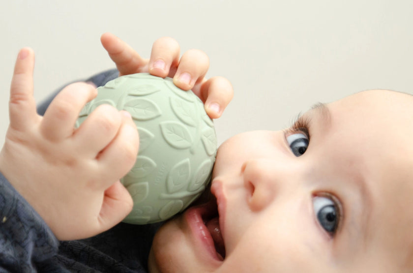 Set 2 Palline Sensoriali – Foglie Salvia