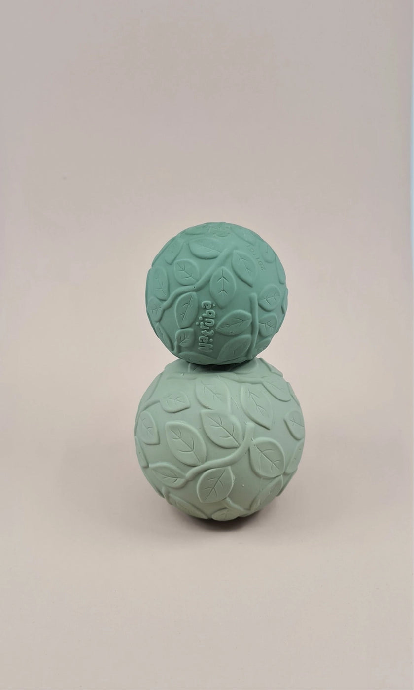 Set 2 Palline Sensoriali – Foglie Salvia