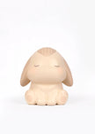 Squishy Anti-Stress Coniglio