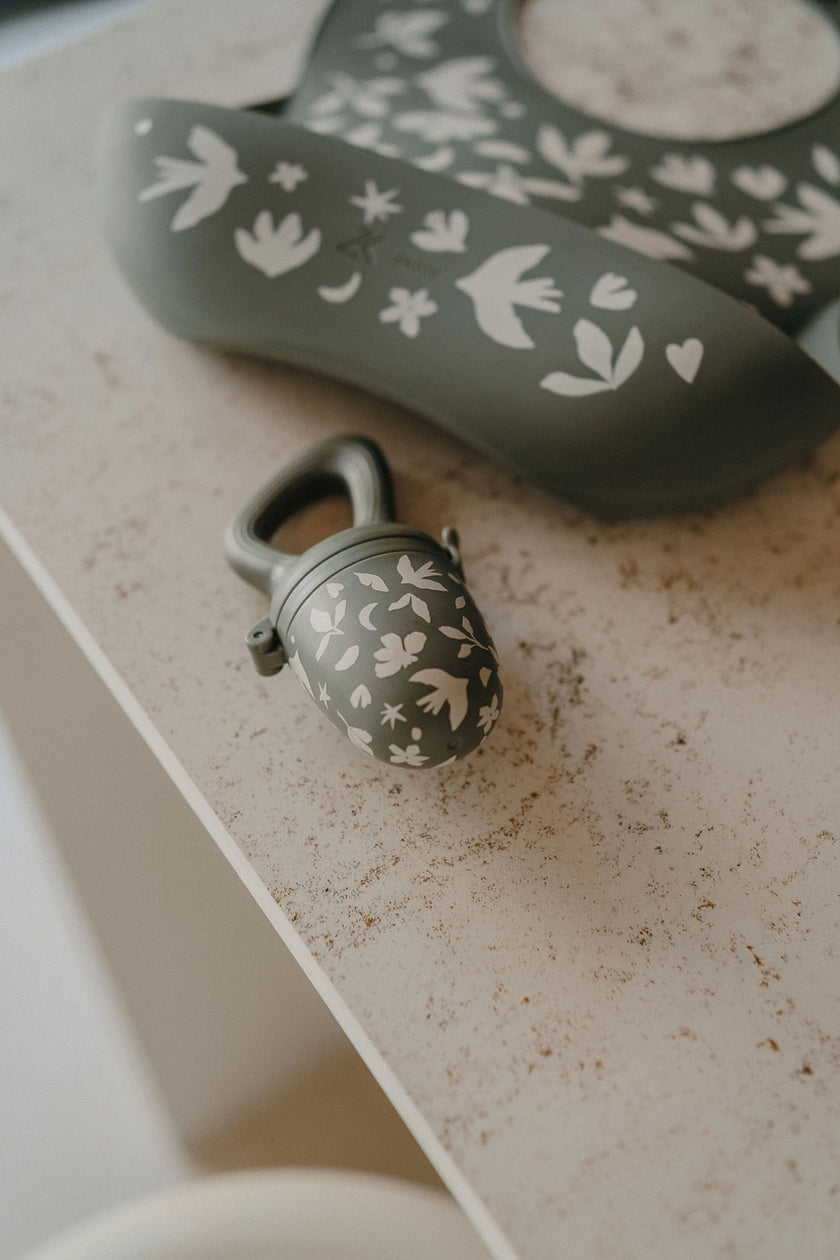 Ciuccio Frutta Svezzamento Birdy