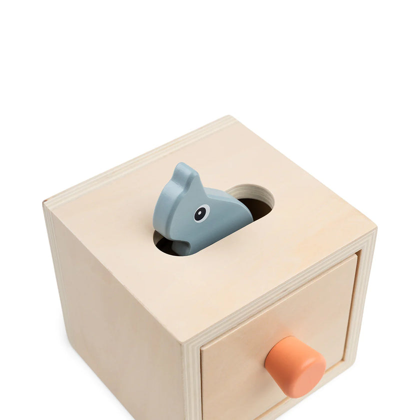 Permanence Box - In Legno - Nozo - 10m+