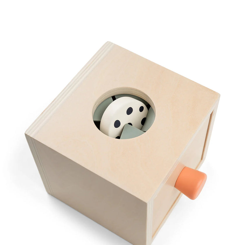Permanence Box - In Legno - Nozo - 10m+